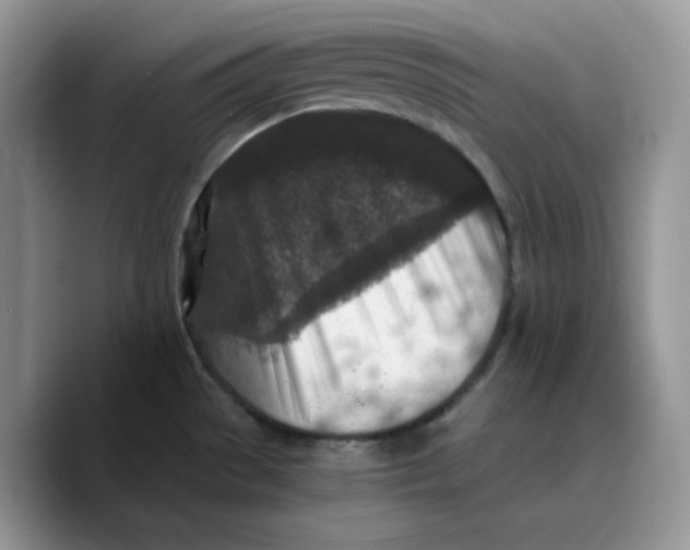 X0000089751529200707201912