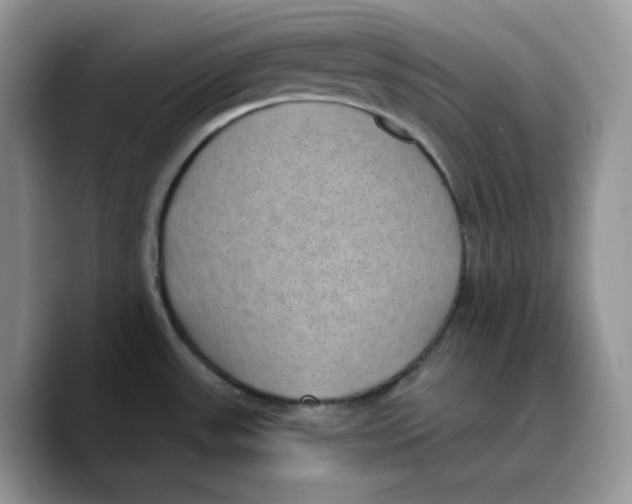 X0000089751531200707201912