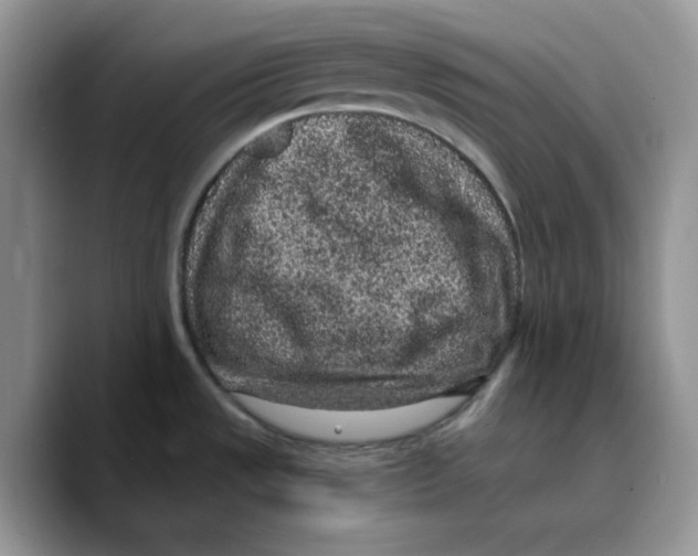 X0000089751533200707201912