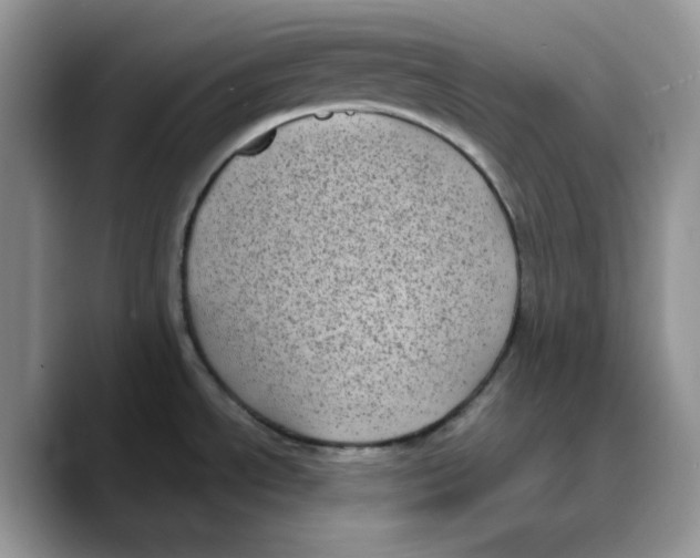 X0000089751534200707201912