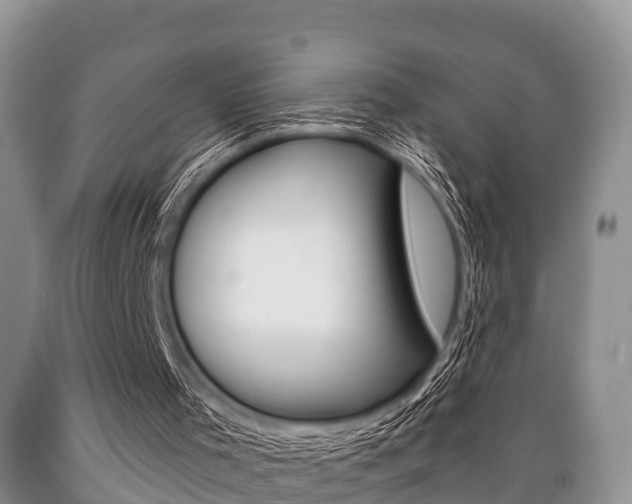 X0000089760001200706211005