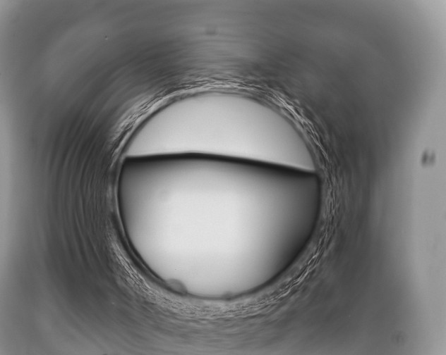 X0000089760002200706211005