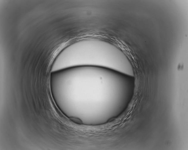 X0000089760003200706211005