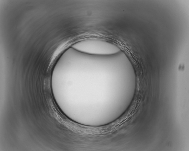 X0000089760004200706211005
