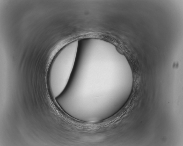 X0000089760006200706211005
