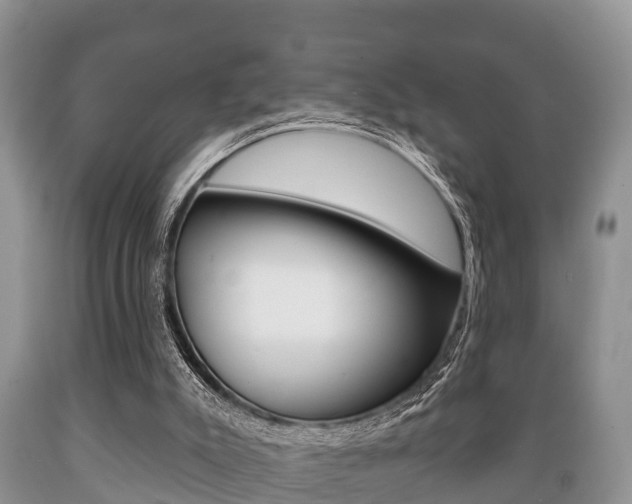 X0000089760007200706211005
