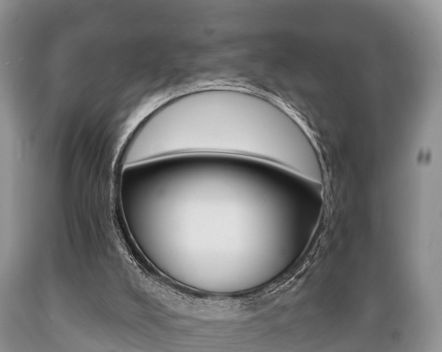 X0000089760008200706211005