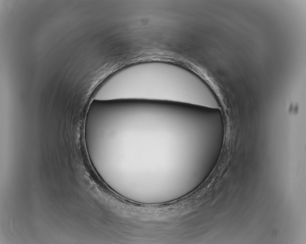 X0000089760010200706211005