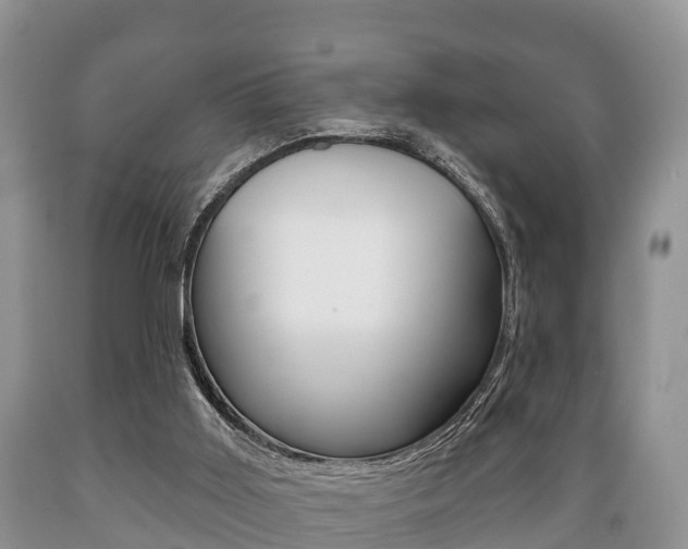X0000089760011200706211005