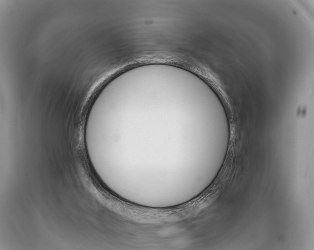X0000089760012200706211005