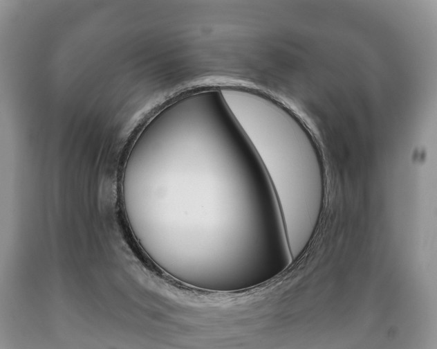 X0000089760015200706211005