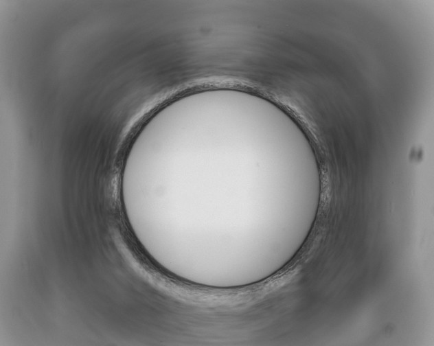 X0000089760016200706211005