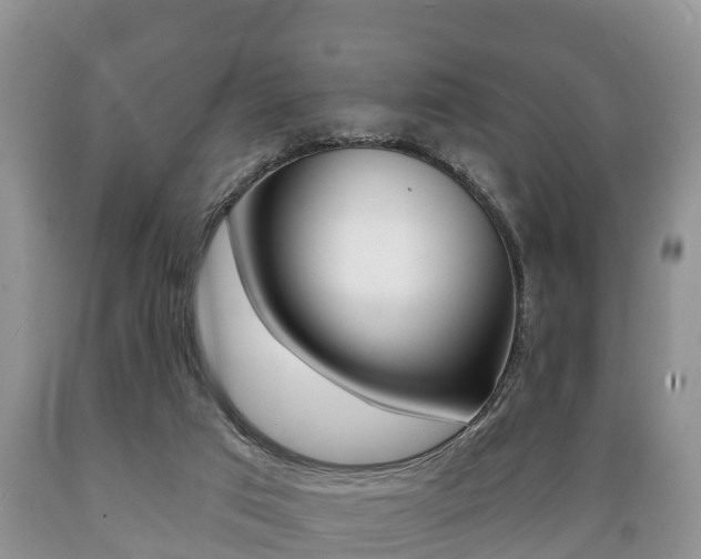 X0000089760017200706211005