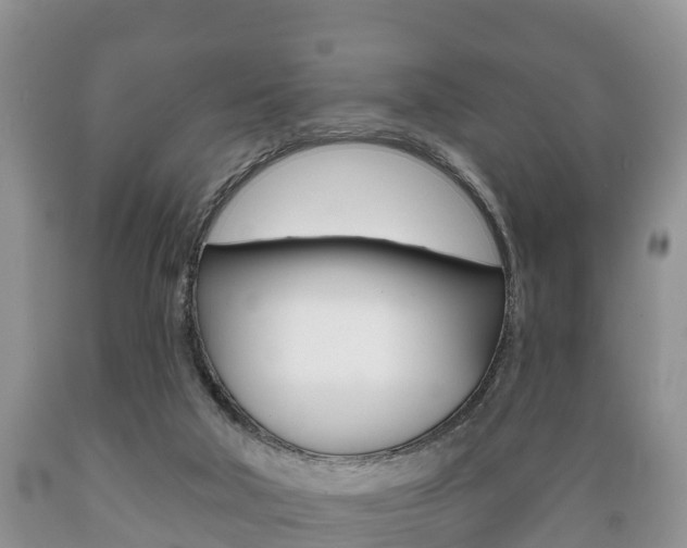X0000089760018200706211005