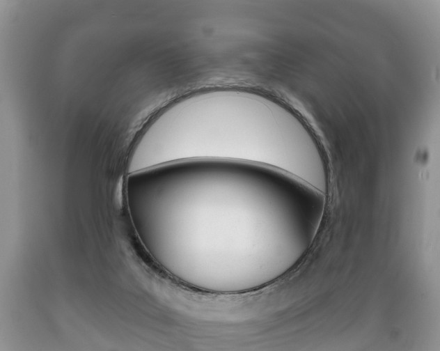 X0000089760019200706211005