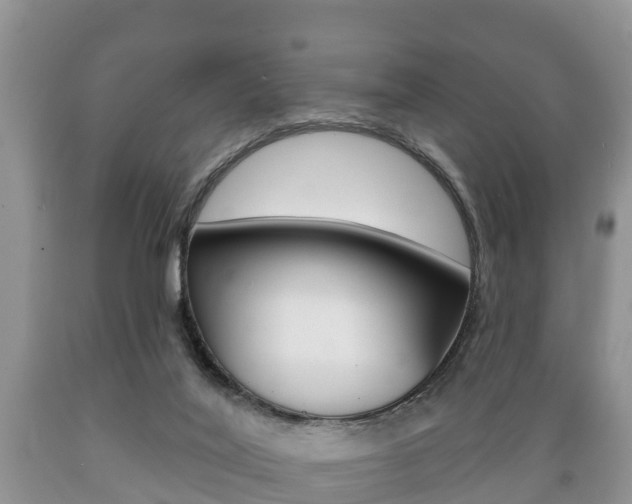 X0000089760020200706211005
