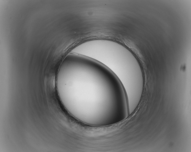 X0000089760021200706211005
