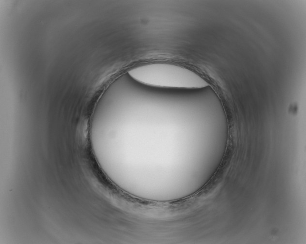 X0000089760024200706211005