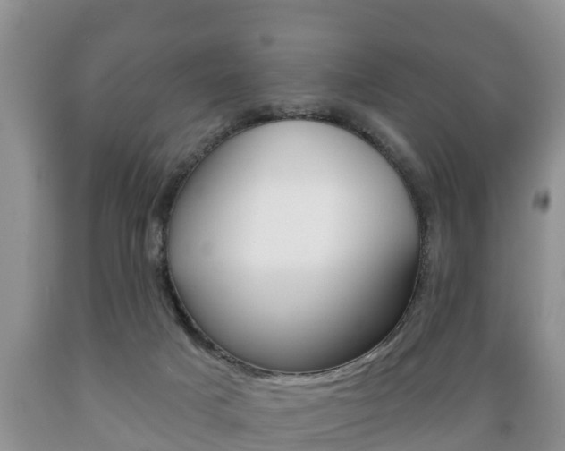 X0000089760025200706211005