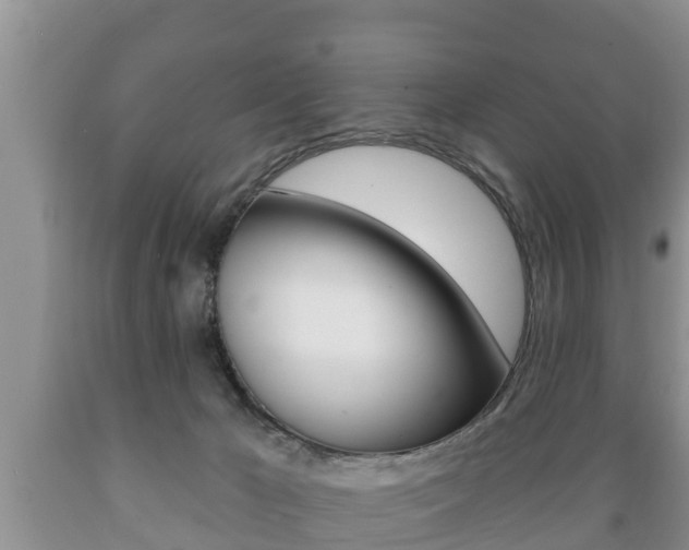 X0000089760029200706211005