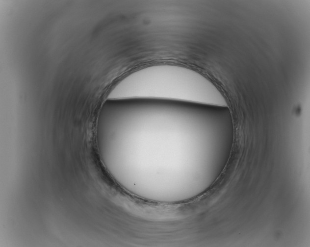 X0000089760032200706211004