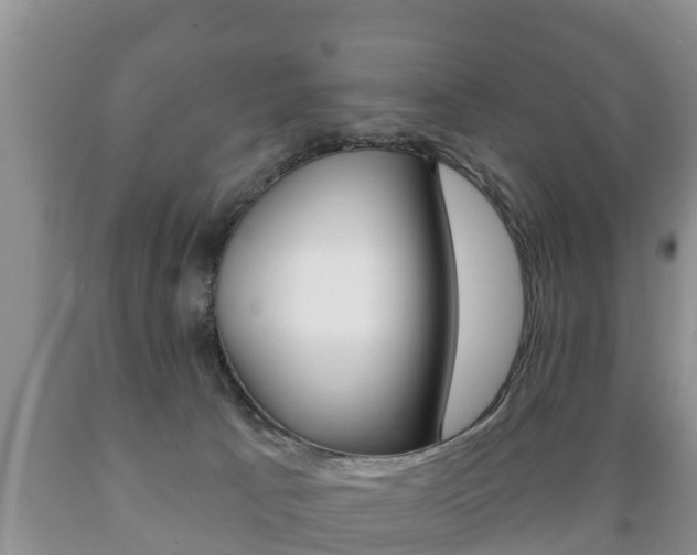 X0000089760033200706211004