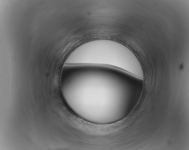 X0000089760035200706211004