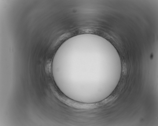 X0000089760036200706211004