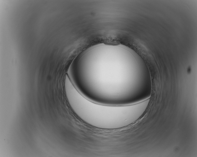 X0000089760037200706211004