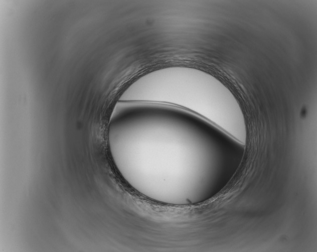X0000089760044200706211004