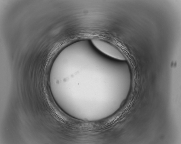 X0000089760049200706211004