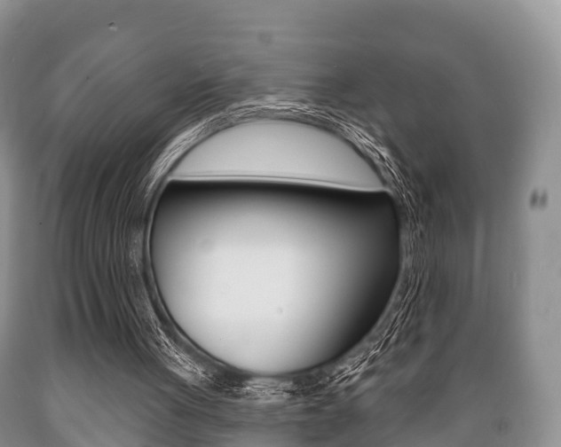 X0000089760051200706211004