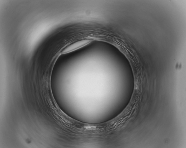 X0000089760052200706211004