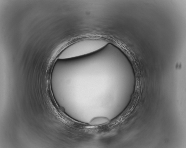 X0000089760053200706211004