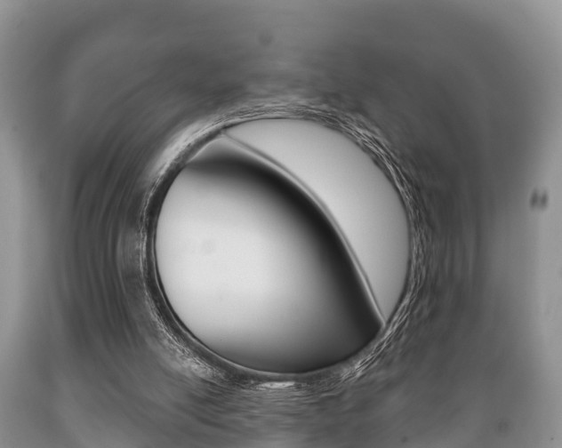 X0000089760054200706211004
