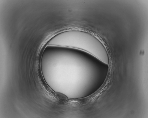 X0000089760055200706211004