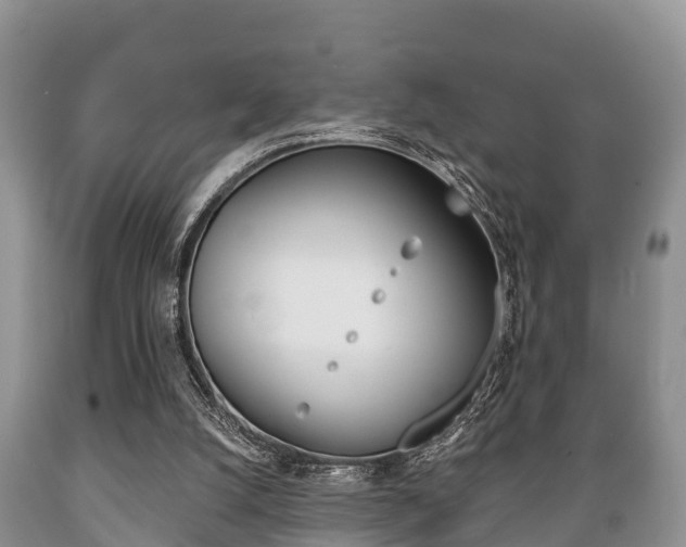 X0000089760056200706211004