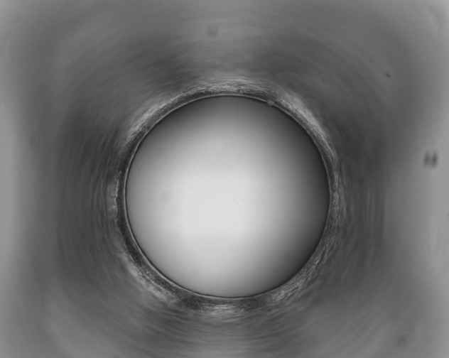 X0000089760058200706211004