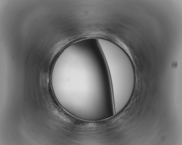 X0000089760059200706211004