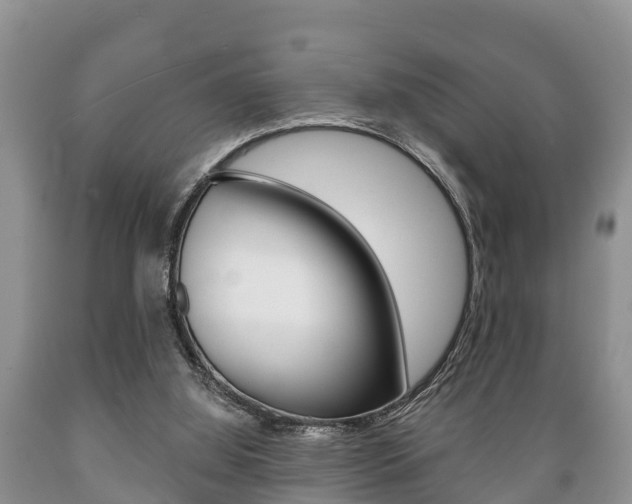 X0000089760060200706211004