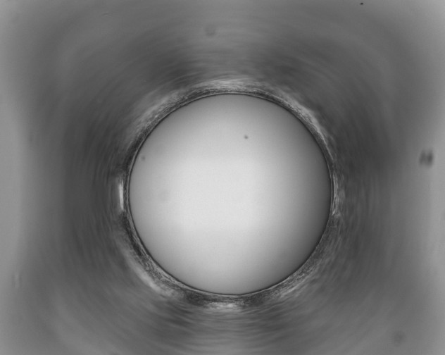 X0000089760061200706211004
