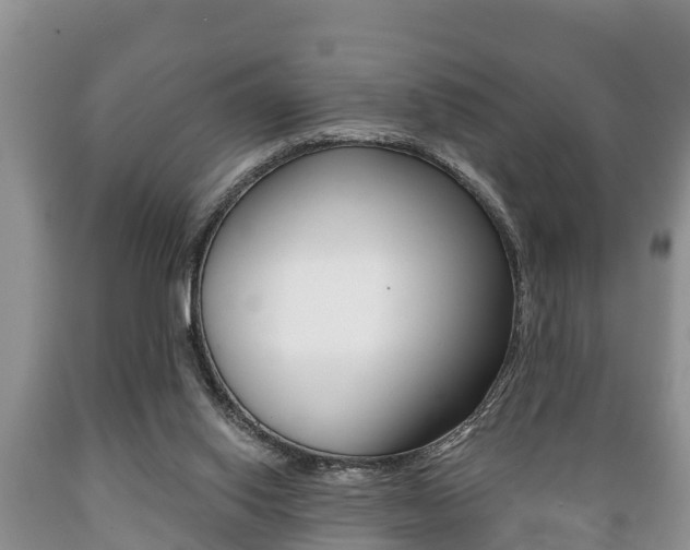 X0000089760062200706211004
