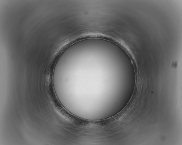 X0000089760063200706211004
