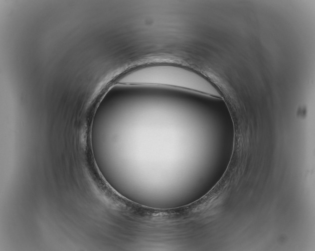 X0000089760064200706211004