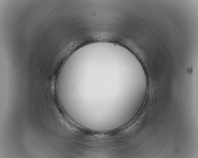X0000089760065200706211004