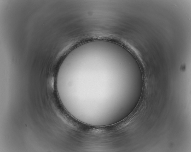 X0000089760067200706211004