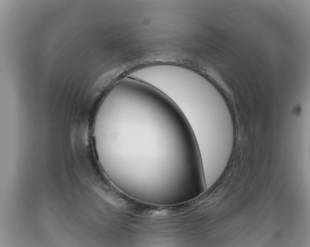 X0000089760068200706211004