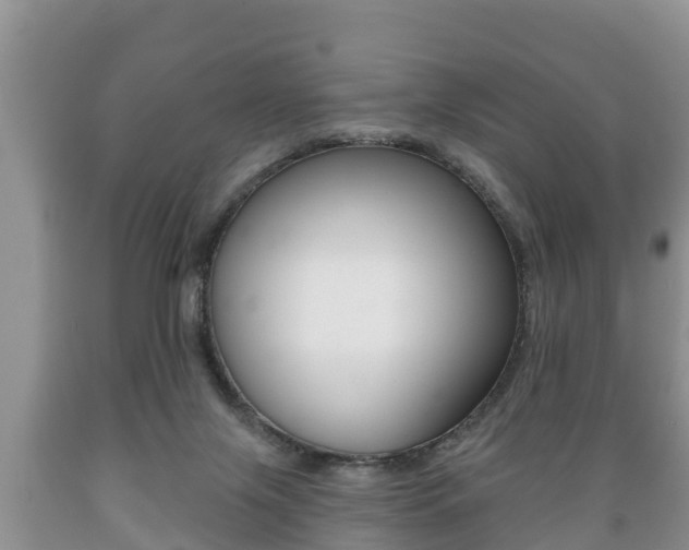 X0000089760071200706211004