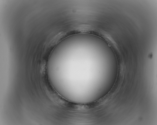 X0000089760073200706211004
