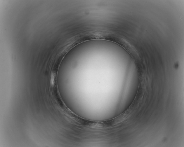 X0000089760075200706211004